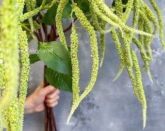 May include: A bouquet of artificial green amaranth flowers with long, thin stems. The flowers are arranged in a cascading style, creating a lush and elegant look. The stems are brown and have a natural texture.