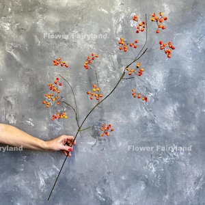 May include: A single branch with orange and red berries against a gray textured background. The branch is held by a hand. The text "Flower Fairyland" is visible in the top left corner of the image.