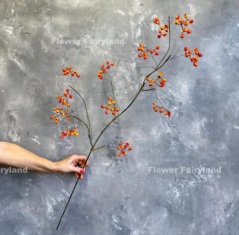 May include: A single branch with orange and red berries against a gray textured background. The branch is held by a hand. The text "Flower Fairyland" is visible in the top left corner of the image.