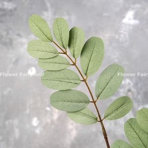 Realistic Senna Siamea Tree Branch High Quality Artificial Plant DIY Greenery Wedding/Home Decorations Gifts Dusty Green image 3