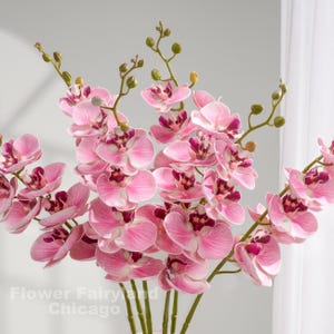 Tige d&#39;orchidée 8 têtes Real Touch - Fleur artificielle - Rose clair