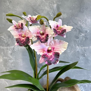 Faux 3 Heads Cattleya Orchid with Leaves and Roots - Artificial Flower - Pink
