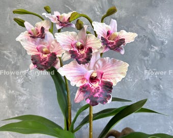 Puede incluir: Un ramo de orquídeas rosas y moradas con manchas moradas oscuras en los pétalos. Las orquídeas están dispuestas en un jarrón con hojas verdes.