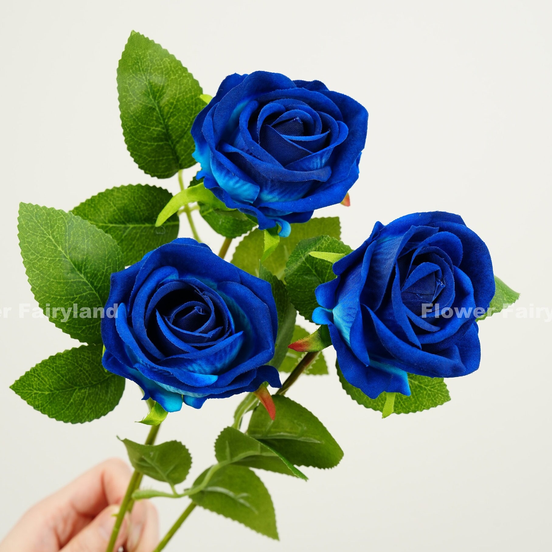 Cuore di rose blu, ♥️ floreale total blu