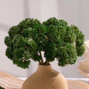 Caule de aglomerado de sedum Real Touch | Planta artificial | Decoração para casamento/casa | Suprimentos para projetos DIY | Presentes - Verde