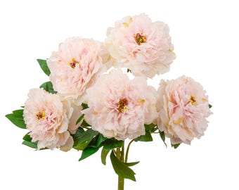 May include: A bouquet of artificial peonies in soft pink and cream hues. The flowers have multiple layers of delicate petals with yellow centers. Green leaves and a green stem complete the arrangement, set against a white background.