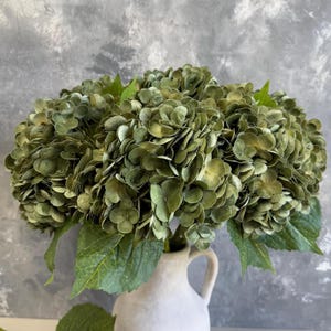 May include: A bouquet of green hydrangeas with large, layered blooms and green leaves. The flowers are arranged in a cream-colored ceramic vase. The background is a mottled gray.