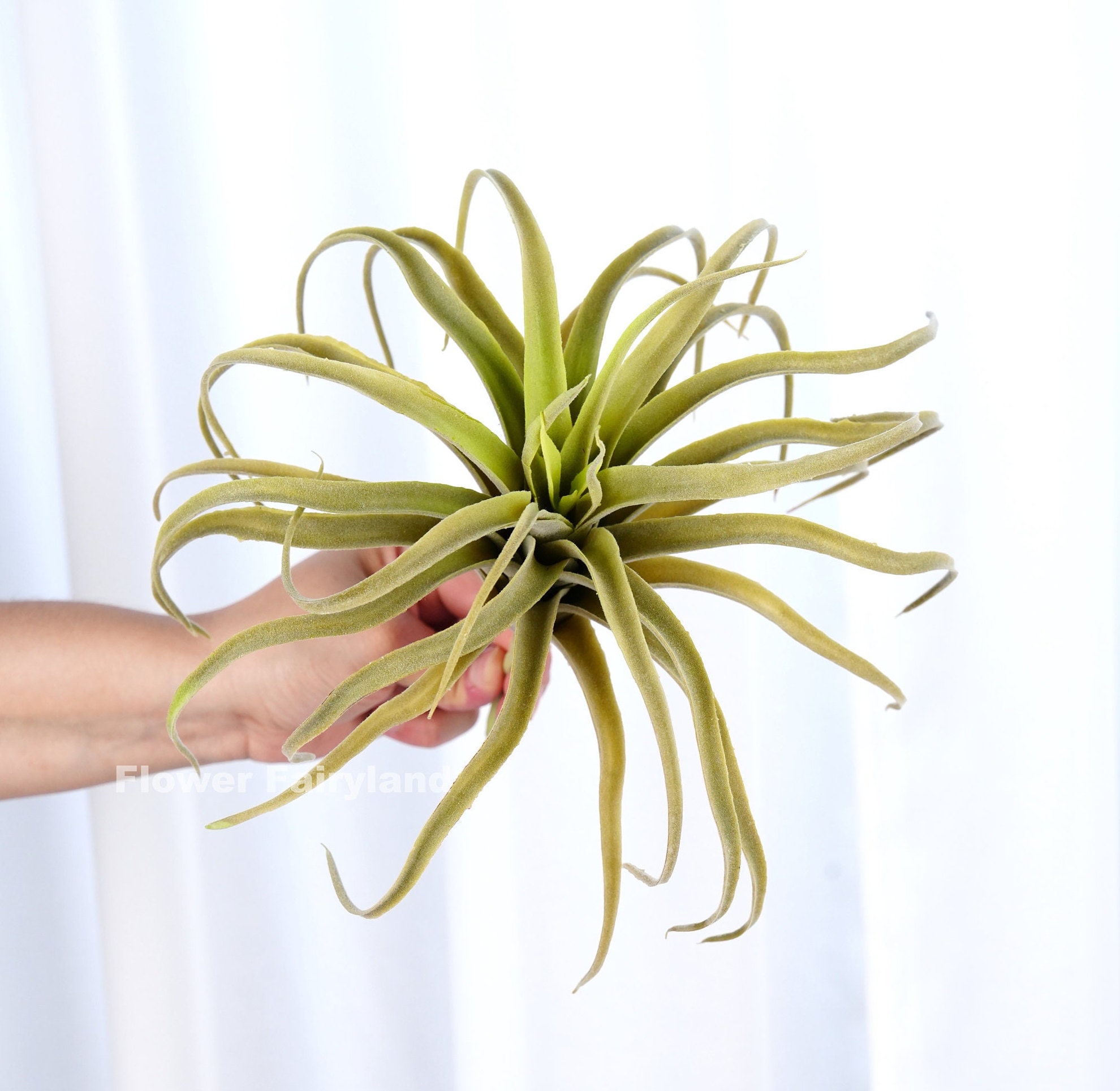 Whole artificial air plants Can Make Any Space Beautiful and Vibrant 
