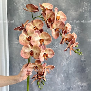 Real Touch 9 Heads Orchid Stem - Artificial Flower - Brownish Tan
