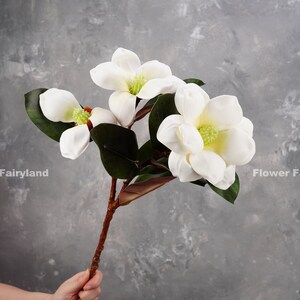 May include: A bouquet of white magnolia flowers with green leaves on a brown stem. The flowers are arranged in a cluster and have a delicate, feminine appearance.