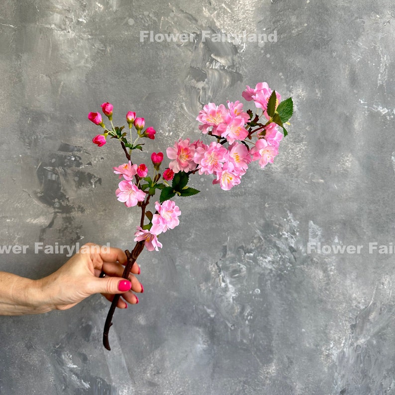 May include: A branch of pink cherry blossoms with green leaves. The branch is held in a hand with pink nail polish.