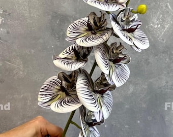 Real Touch 8 Heads Orchid Stem - Artificial Flower - Purplish Black