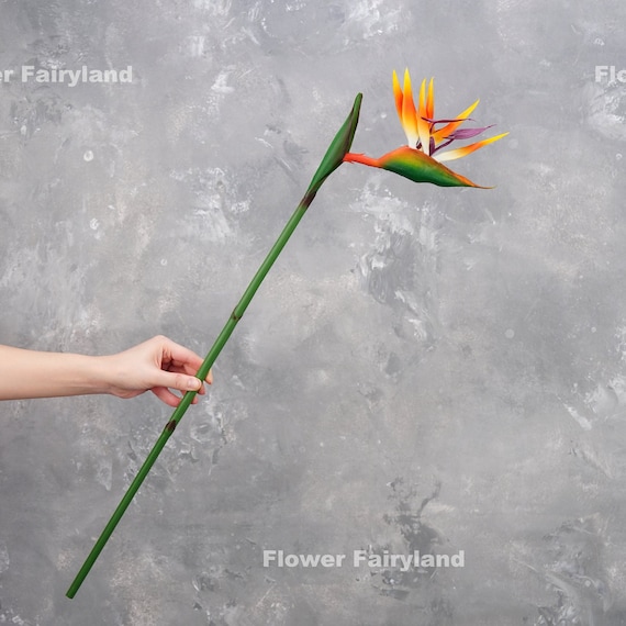 Real Touch Bird of Paradise Flower Stem - Artificial Plant - Orangish  Yellow - Etsy Israel