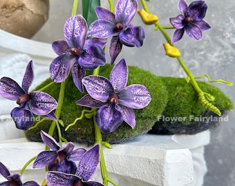 Faux Hanging Rodriguezia Orchid with Leaves and Roots - Artificial Flower - Dark Purple