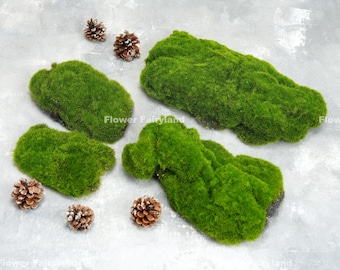 Set of 4 - Faux Bryophyta Moss | DIY Moss | Craft Project Supplies | Floral | Home Decoration | Garden Terrarium (Set of 4)