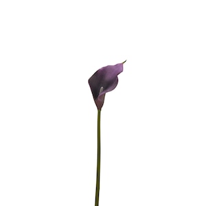 20" Natural Touch Faux Calla Lily - Artificial Flower - Dark Purple image 4