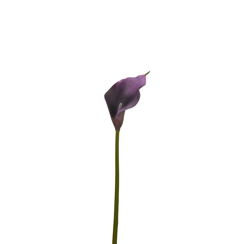20" Natural Touch Faux Calla Lily - Artificial Flower - Dark Purple image 4