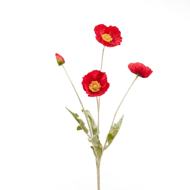May include: A bouquet of three red poppy flowers with yellow centers. The flowers are on stems with green leaves.