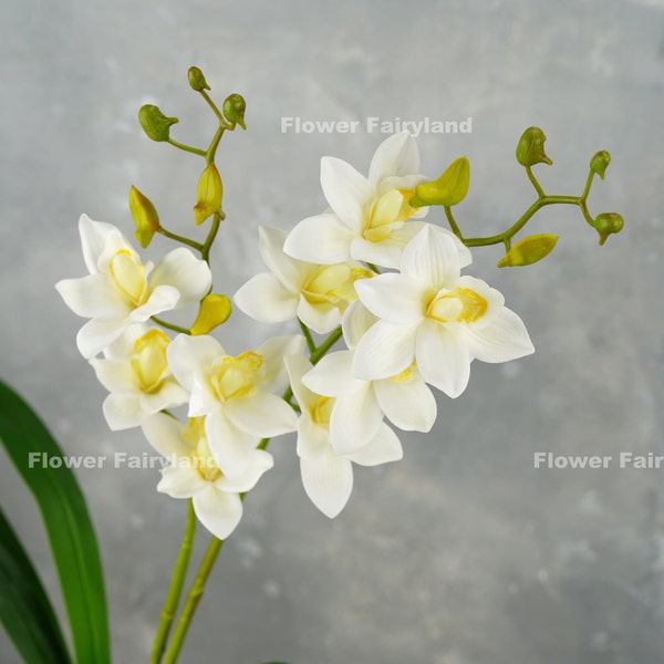 Faux Cymbidium Hybrid Orchid | High Quality Artificial Flower | DIY | Floral | Wedding/Home Decoration | Gifts - White