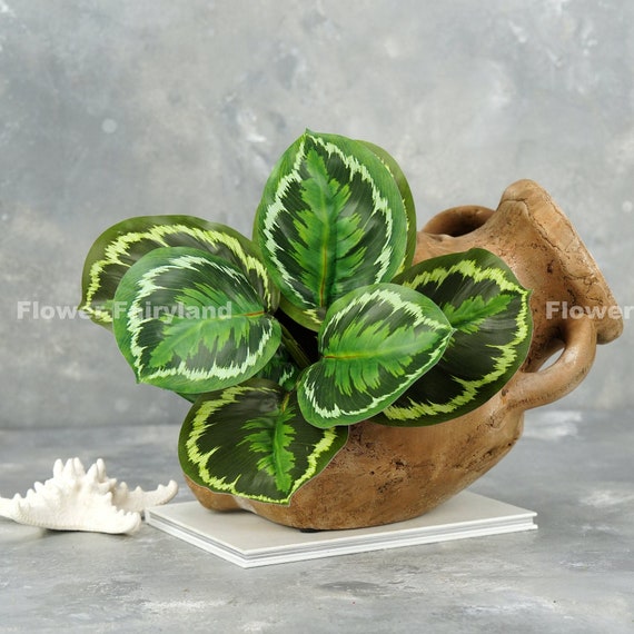 Faux Zebra Plant Calathea Medallion - Artificial Plant - Etsy