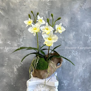Orquídea Cattleya artificial de 3 cabeças com folhas e raízes - Flor artificial - Branca