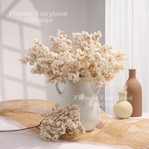 Könnte beinhalten: Eine weiße Keramikvase mit gesprenkelter Oberfläche hält einen Strauß getrockneter weißer Blumen. Die Vase hat zwei Henkel und steht auf einer beigefarbenen, strukturierten Oberfläche. Der Text "Flower Fairyland Chicago" ist auf der Vase und im Hintergrund sichtbar.