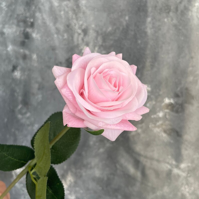 Real Touch Latex Rose Stem High Quality Artificial Flower Etsy