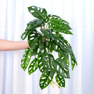 16" Faux Monstera Adansonii Hanging Plant | DIY | High Quality Artificial Plant | Home Decors | Gifts