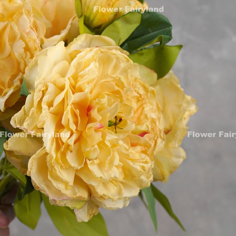 Dried Look Huge Peony with Bud Stem High Quality Artificial Flower Centerpieces DIY Floral Wedding/Home Decoration Gifts Yellow image 5