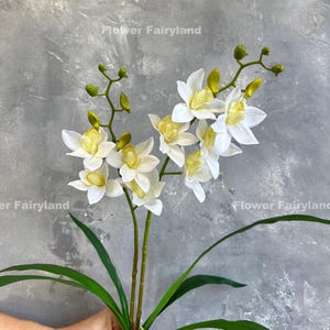 Faux Cymbidium Hybrid Orchid with Leaves and Roots - White