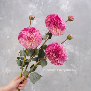 Realistic Palmares Dahlia Stem High Quality Artificial Flower Centerpieces DIY Floral Wedding/Home Decors Gifts Multi-color image 9