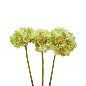 Puede incluir: Tres tallos de hortensias artificiales con grandes cabezas de flores redondas. Las flores son una mezcla de verde y rosa p&aacute;lido, con tallos verdes. El fondo es blanco.