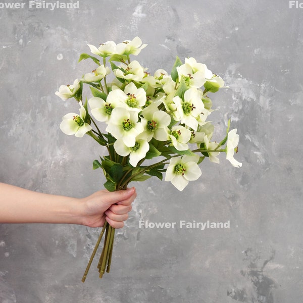 5 Heads Helleborus Stem | Artificial Flower | DIY | Floral | Wedding/Home Decoration | Gifts - Greenish White