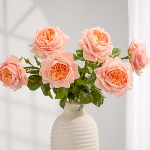 Enorme stelo di rosa inglese Real Touch - Fiore artificiale - Corallo rosa