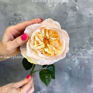 Real Touch - Fiore artificiale con testa enorme di rosa inglese - Albicocca