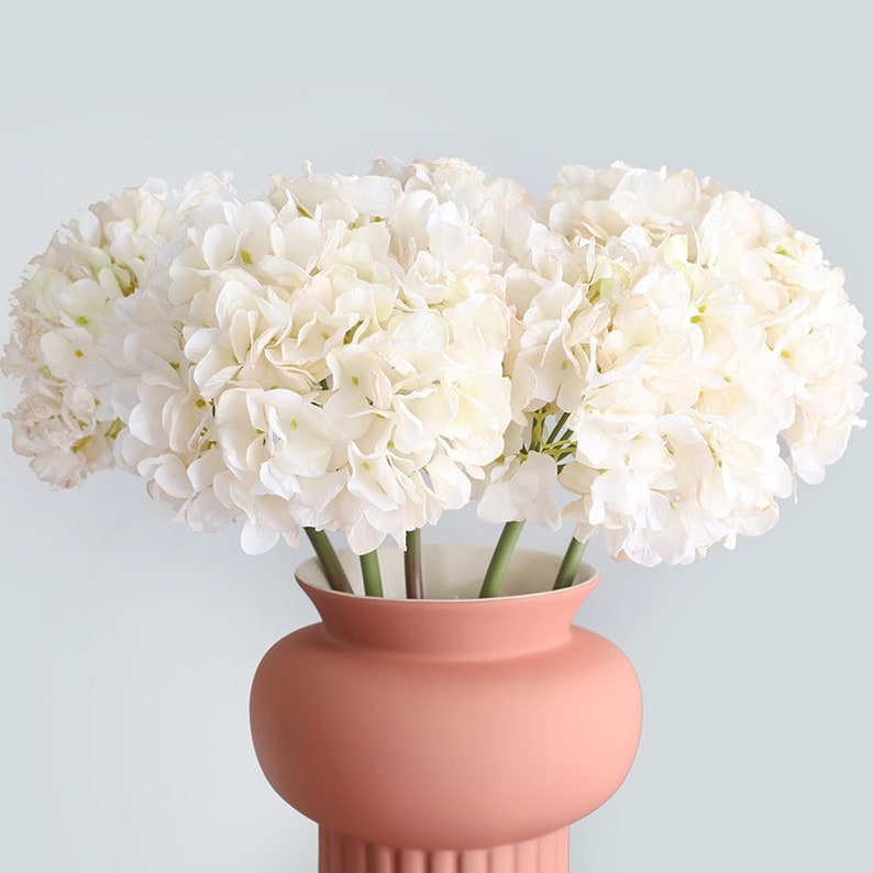 Huge Dried Look Hydrangea Beautiful Colored Luxury Quality image 1