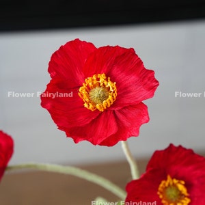 May include: Close-up of a red poppy flower with a yellow center. The flower is in focus, and the background is blurred.