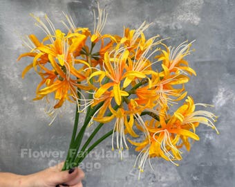 25" Faux Spider Lily Stem - Artificial Flower - Yellowish Orange
