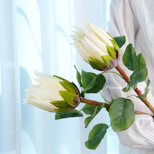 Large Head Faux King Protea - Artificial Flower - White