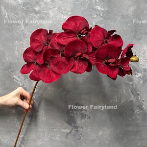 May include: A stem of deep red artificial orchid flowers. The flowers have a velvety texture and are clustered together. The stem is held by a hand against a gray background. The text "Flower Fairyland" is visible in the image.