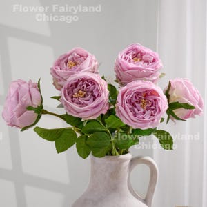 Real Touch English David Austin Rose Stem - Artificial Flower - Lavender Purple