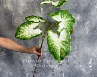 Natural Touch Caladium Branch - Artificial Plant