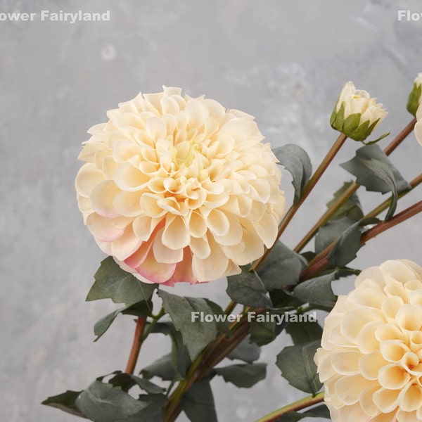 Realistic Palmares Dahlia Stem | High Quality Artificial Flower | Centerpieces | DIY | Floral | Wedding/Home Decors | Gifts - Cream