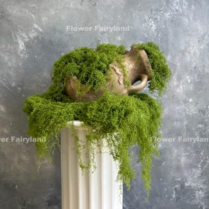 May include: A decorative arrangement featuring a weathered, bronze-colored amphora overflowing with vibrant green foliage. The amphora rests atop a white, fluted column against a textured gray backdrop. The text "Flower Fairyland" is visible.