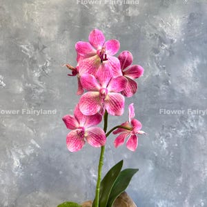 May include: A pink orchid flower with five petals and a yellow centre. The flower is part of a bouquet of pink orchids with green leaves.