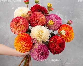 Tallo realista de Dahlia Palmares / Flor artificial de alta calidad / Centros de mesa / Bricolaje / Floral / Boda / Decoraciones para el hogar / Regalos - Multicolor