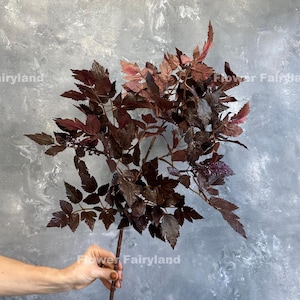 Rama de hoja de Cimicifuga falsa de 87 cm (34,5&quot;) - Planta artificial con semillas - Morado ciruela