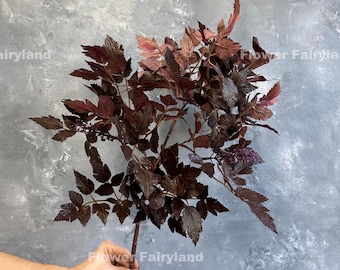 May include: A single stem of burgundy-colored artificial foliage with small purple flower buds. The stem is held by a hand, and the background is a gray textured wall with the text "Flower Fairyland" written in black.