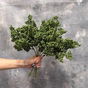 May include: A bouquet of green berries with small, round buds. The stems are held in a hand with a gray and black nail design. The background is a mottled gray. The text "Flower Fairyland Chicago" is visible.