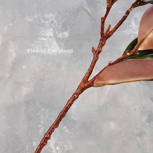 May include: A close-up of a brown twig with a single large, brown leaf. The twig is covered in small, white dots. The leaf is partially visible and has a green underside.